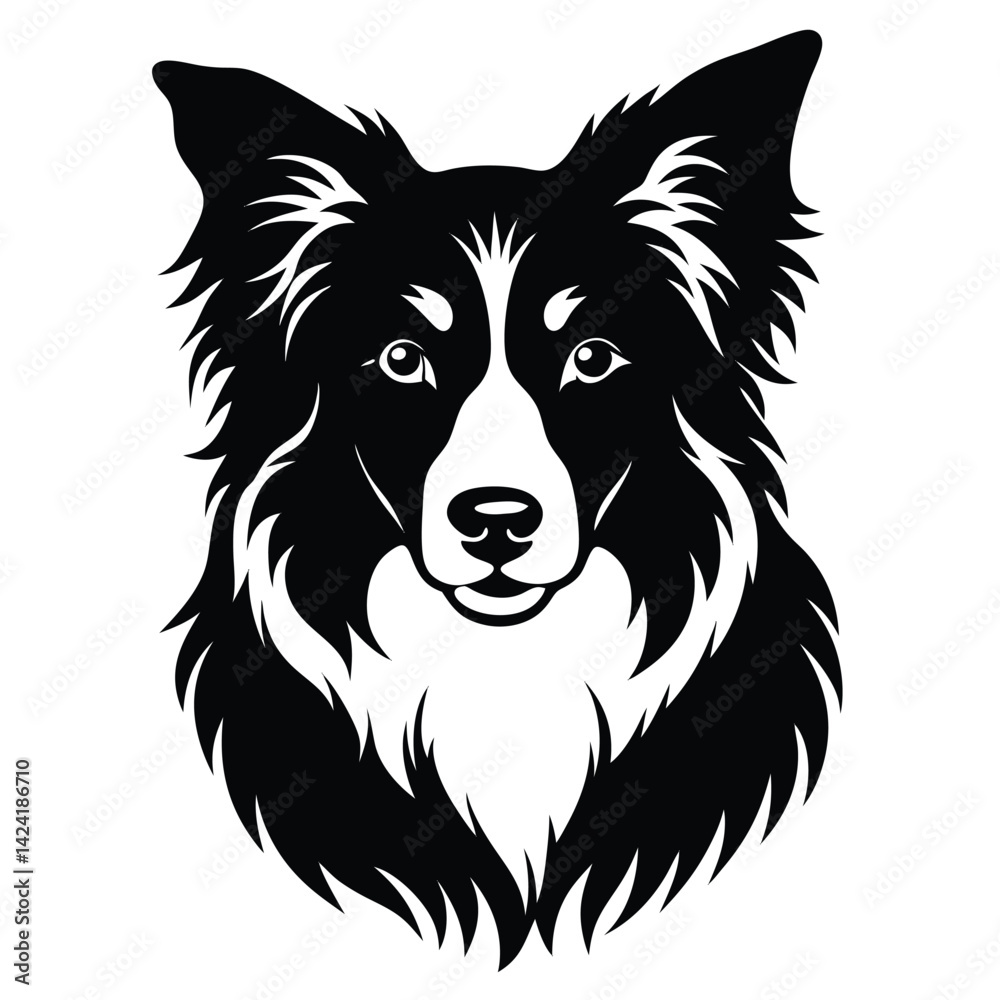 boorder collei vector boorder collei vector