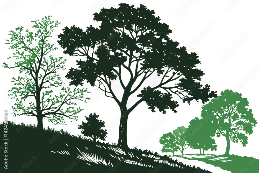 Fototapeta premium 4 Photorealistic tree line, lush green foliage, diverse tree species, natural landscape border, white background, high-resolution vector graphic, detailed botanical illustration, summer season, vibran