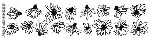 Hand drawn black ink abstract wild flowers set isolated on white background. Monochrome scribble style daisy blooms bundle. Sketchy minimalist floral designs collection.