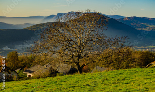 Konstfotografi Arbre solitaire dans un paysage montagneux