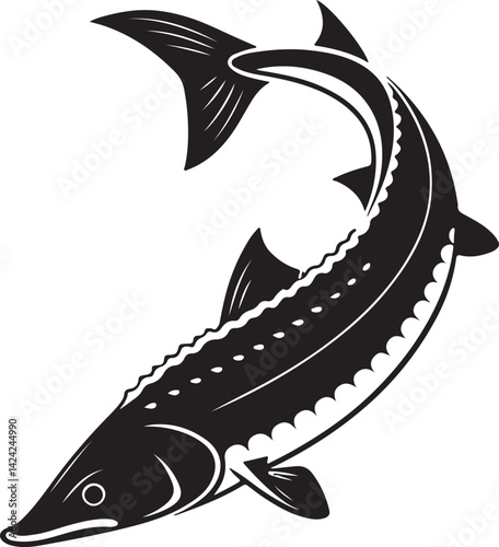 sturgeon freshwater fish line art silhouette vector illustration and Sturgeon fish hand drawing engraving style clip art sturgeon predator fish vector Sturgeon fish black and white icon