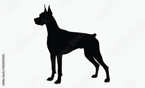 Doberman dog silhouette, Doberman dog isolated realistic vector illustration black silhouette