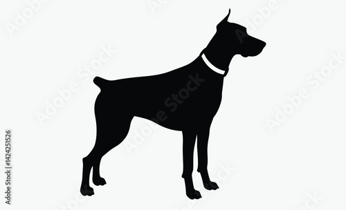 Doberman dog silhouette, Doberman dog isolated realistic vector illustration black silhouette