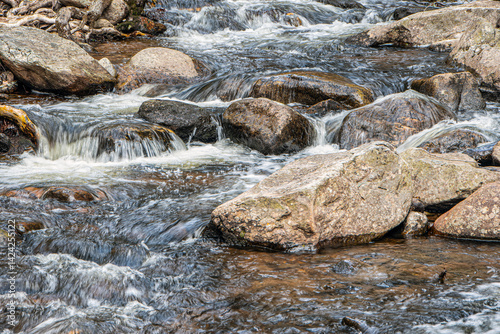 view of  willard brook on a spring day