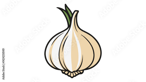 garlic isolated on white background, onion vector illustration