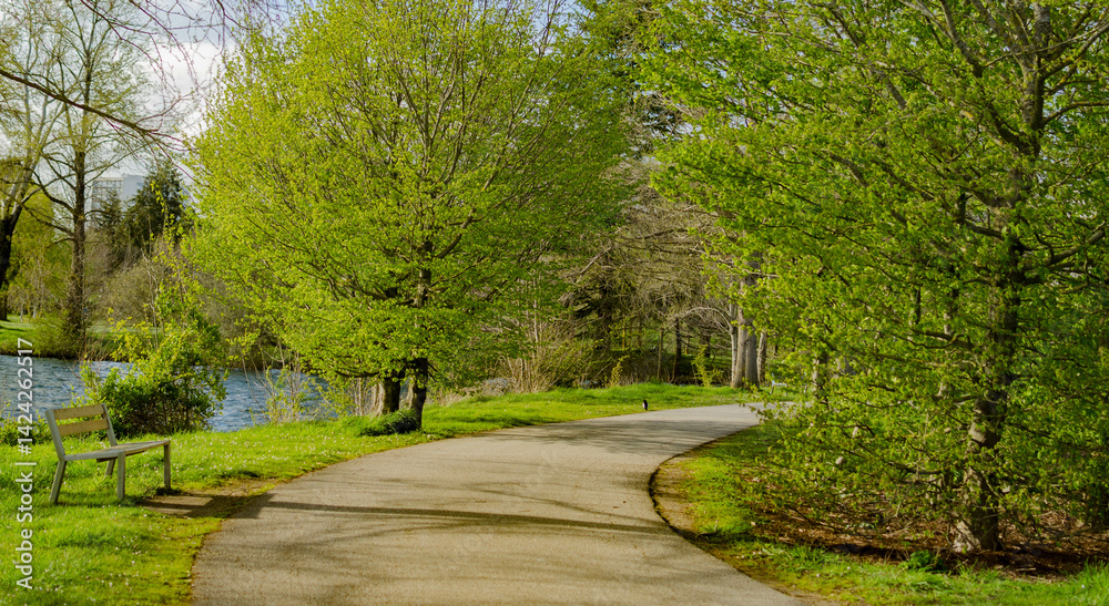 Fototapeta premium Allée piétonne dans un parc verdoyant au printemps 