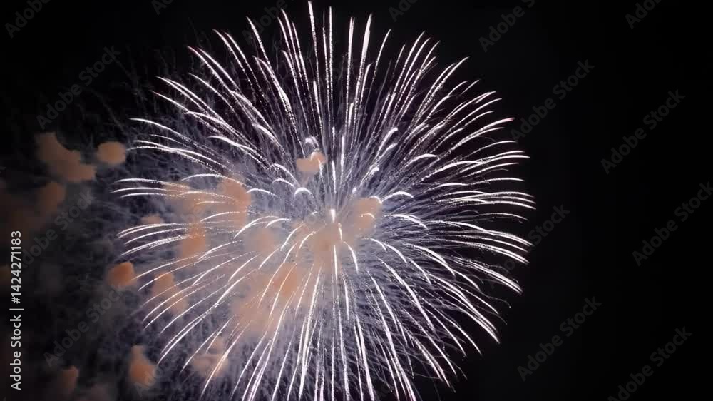 Vibrant fireworks exploding in the night sky, creating stunning patterns of light and color with a dark backdrop