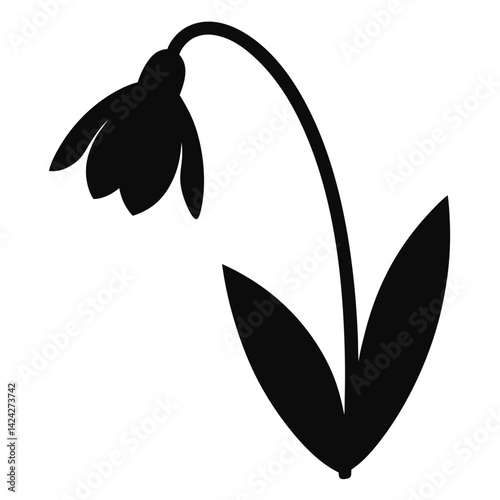 Silhouette of a Withered Snowdrop, Perfect for Spring Design