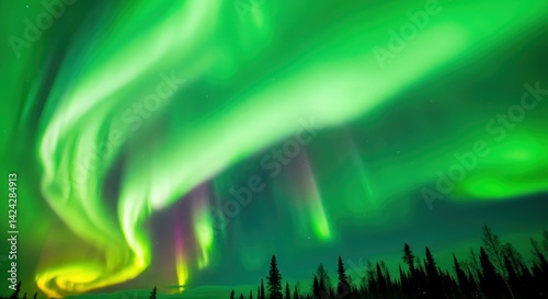 Vibrant green aurora borealis over silhouetted forest at night