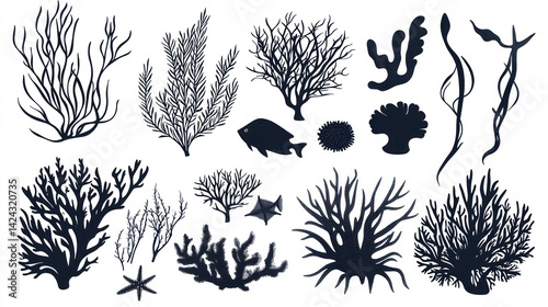 Wallpaper Mural Ocean coral reef silhouettes, underwater life, sea background, educational chart Torontodigital.ca