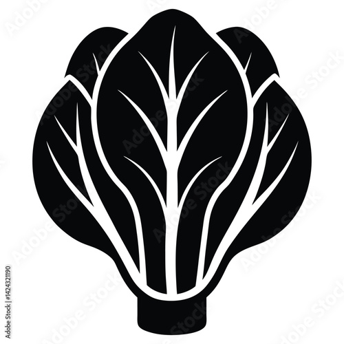 Bok Choy vector illustration 