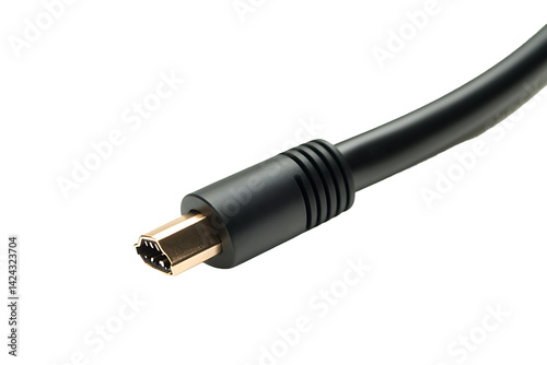 Closeup of a black FireWire cable with gold connector