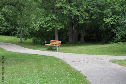 Fototapeta Naklejka Na Ścianę i Meble -  modern bench under shade tree along paved walking, running, biking path in boreal forest in summer