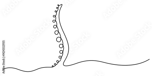 Chiropractor spine. Continuous one line drawing on white background, Simple sketch of part of skeleton. Vector illustration, Human spine vector illustration. Human backbone icon. Chiropractor linear.
