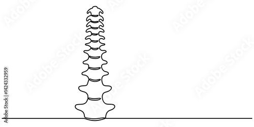 Chiropractor spine. Continuous one line drawing on white background, Simple sketch of part of skeleton. Vector illustration, Human spine vector illustration. Human backbone icon. Chiropractor linear.