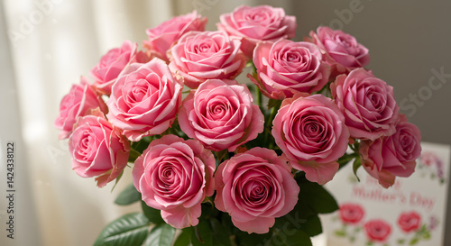 Pink roses 