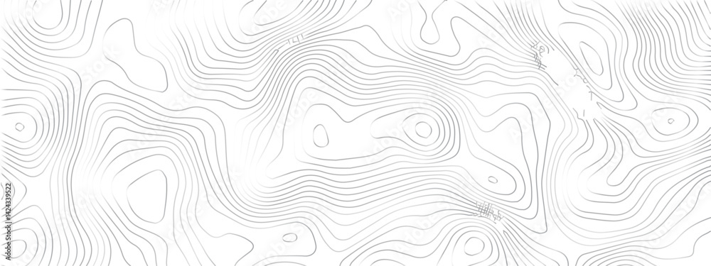 Fototapeta premium Topographic Design Pattern with Seamless Lines Representing Area Spaces and Grid Layouts on a Modern Geometric MapM