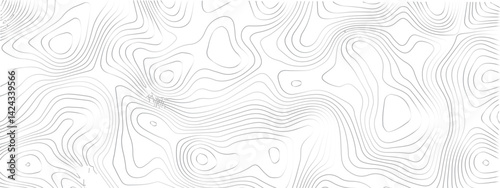 
Detailed Sea Map with Geometric Lines and Topography, Featuring a Mounted Grid Pattern to Depict Area Space and Landscape Topos
