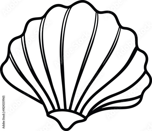 Seashell vector on white background