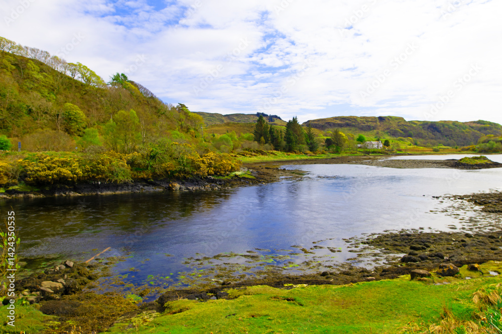 Fototapeta premium Balluchuan Loch, Lake Balvicar, Argyl, Scotland.