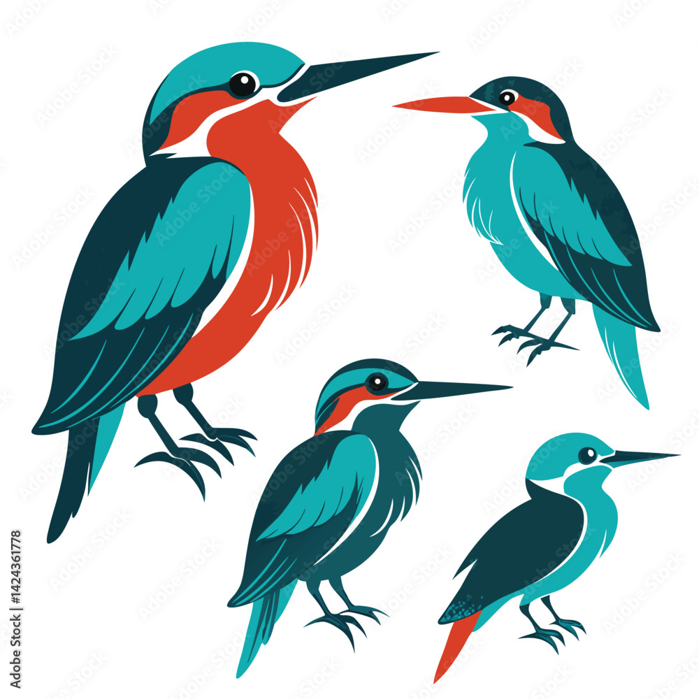 Obraz premium set of Kingfisher birds shilhotee vector with white background