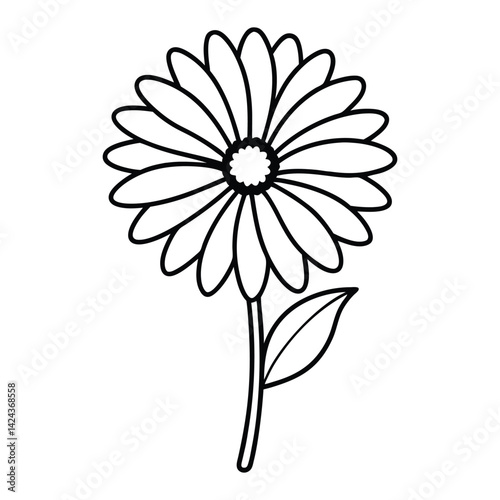 white gerbera daisy flower line art vector on white background