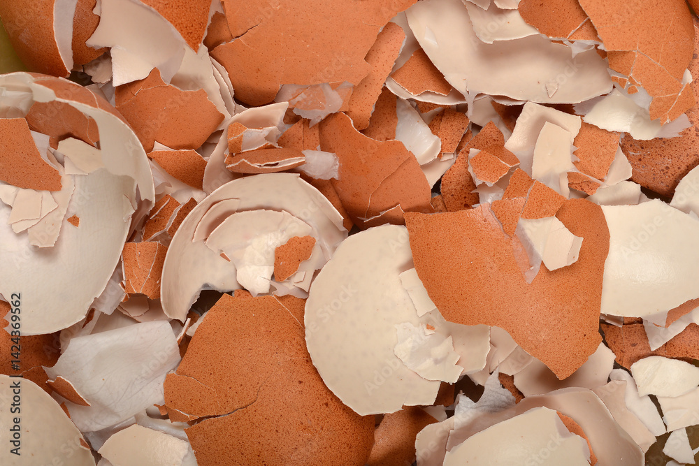 A close-up shot shows a collection of broken brown and white eggshells filling the frame