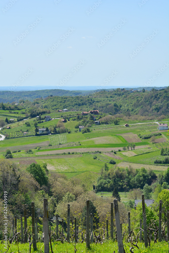 A picturesque view from Gornje Psarjevo in Croatia extends eastward over lush green fields and scattered houses under a clear sky