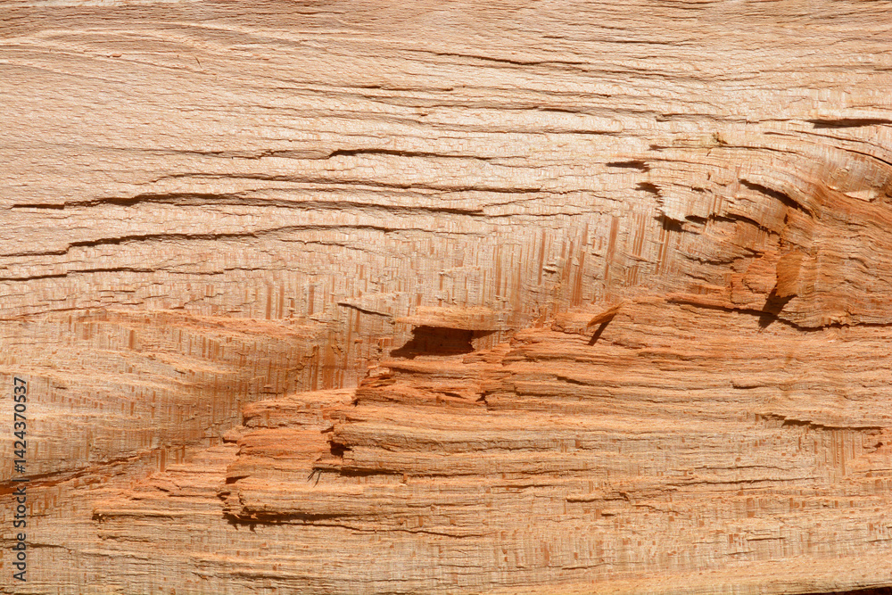 A close-up shows the rough, textured surface of a piece of light brown wood