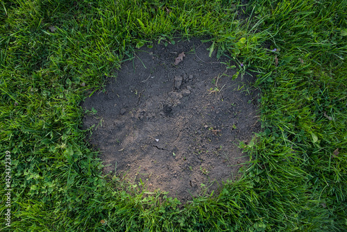 Trawa dookoła ziemi 