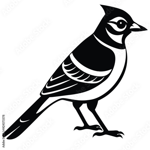 Vector illustration of wild blue jay silhouette, alert bird, profile side view design