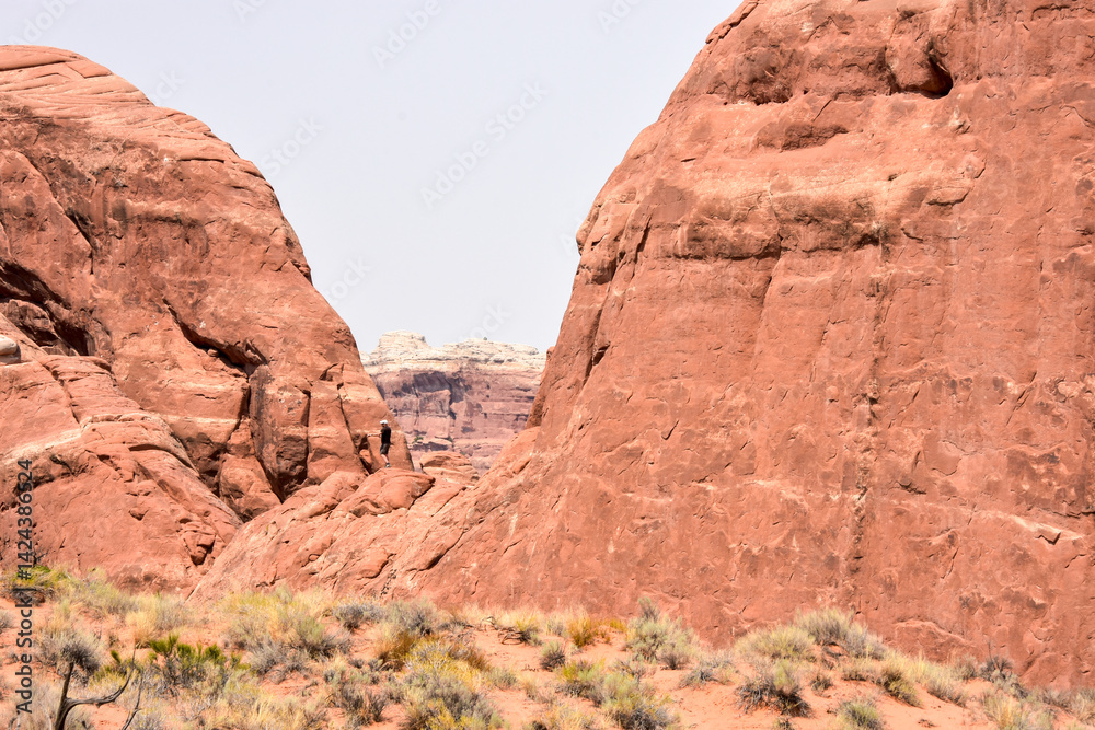 Fototapeta premium arches national park utah