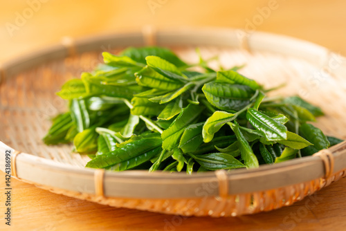 新茶　茶葉