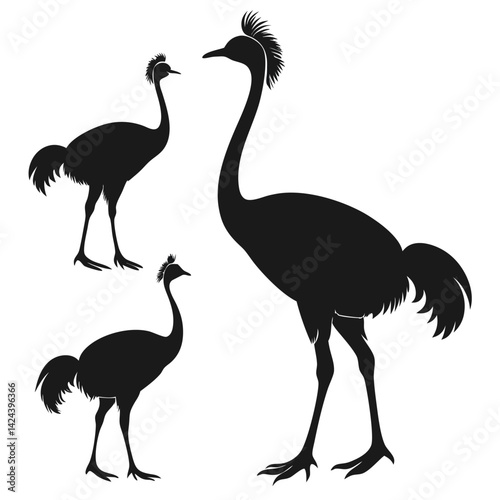  set of Emu shilhotee vector with white background