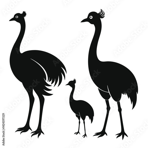  set of Emu shilhotee vector with white background