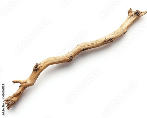 Weathered branch, dry, with knot and twig details