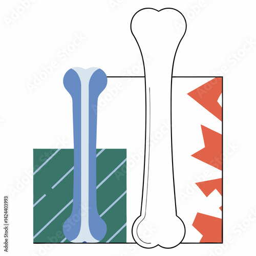 A healthy bone contrasted with a fractured bone, showcasing the stark difference in bone structure and integrity, using a simple, illustrative style.