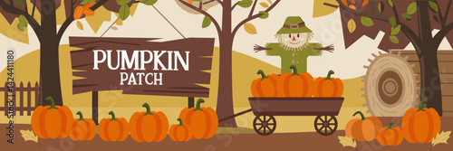Rustic autumn flat vector illustration of a pumpkin patch with wagon and scarecrow