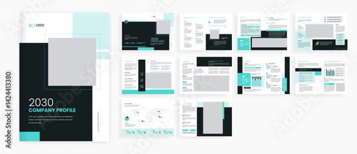 Editable corporate business brochure design and company profile template