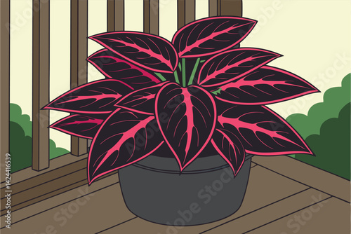 Vibrant Coleus Plant with Colorful Foliage Botanical Leaf Close-Up