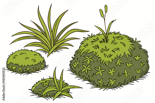 27 Spherical and rectangular moss patches, vibrant green textures, varying shades of green, botanical close-up, organic shapes, natural elements, soft focus, white background, isolated plant specimens