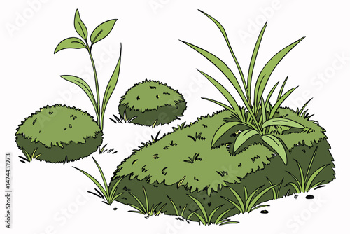 27 Spherical and rectangular moss patches, vibrant green textures, varying shades of green, botanical close-up, organic shapes, natural elements, soft focus, white background, isolated plant specimens