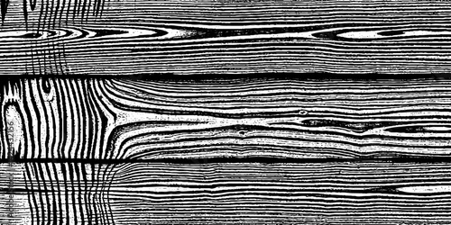 Abstract art on wood vector for card, illustration background, Close-up wooden lines texture. Tree rings. Annual ring. 