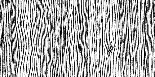 Abstract art on wood vector for card, illustration background, Close-up wooden lines texture. Tree rings. Annual ring.