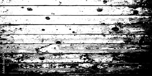 Abstract art on wood vector for card, illustration background, Close-up wooden lines texture. Tree rings. Annual ring. 