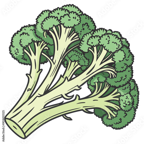 Broccoli Vegetable Drawing