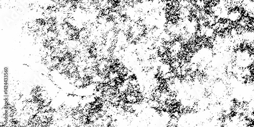 Wallpaper Mural Abstract dust grunge concrete wall dark weathered overly pattern black and white rough vintage distress background. Torontodigital.ca