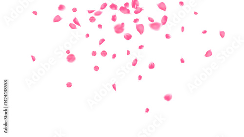 Rose petals pink color falling motion, Love day festival, romantic background, congratulation
