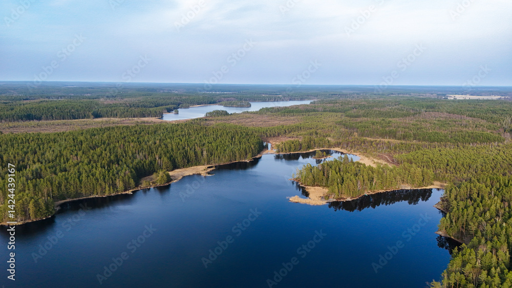 Fototapeta premium Aerial View of a Lake in Teijo National Park, Southern Finland