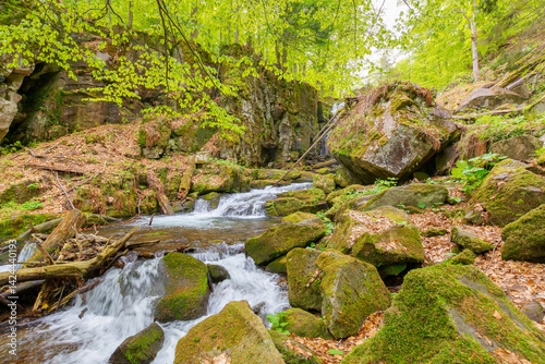 landscape with river among rock in forest. clear water stream in nature green environment. beautiful natural park scenery near wild waterfall in spring